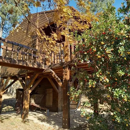 Puerto Roque 발렌시아데알깐따라