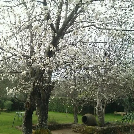 Puerto Roque Valencia de Alcantara