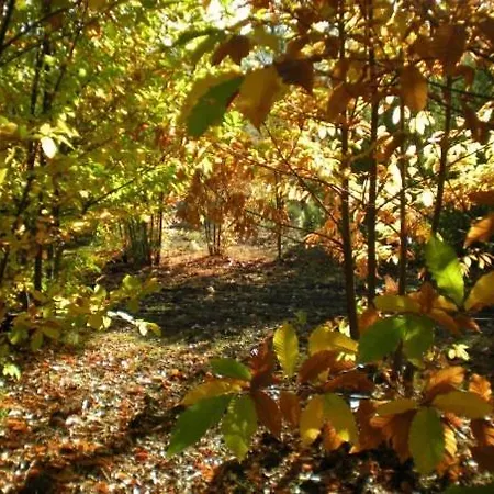 Puerto Roque 발렌시아데알깐따라