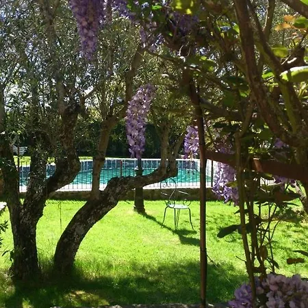 Puerto Roque 빌라 *