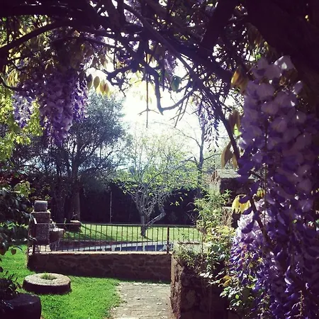 Puerto Roque 빌라 발렌시아데알깐따라