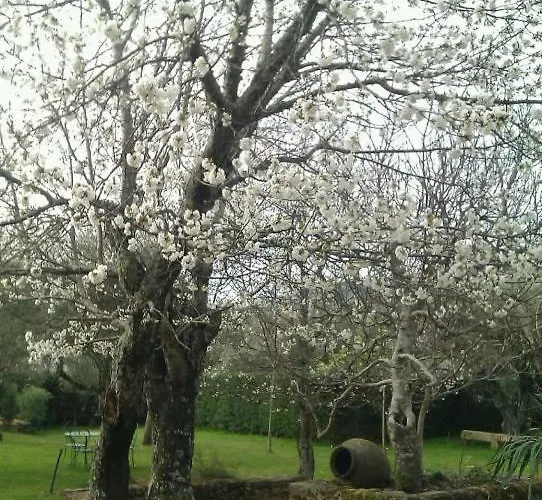 Puerto Roque Valencia de Alcántara