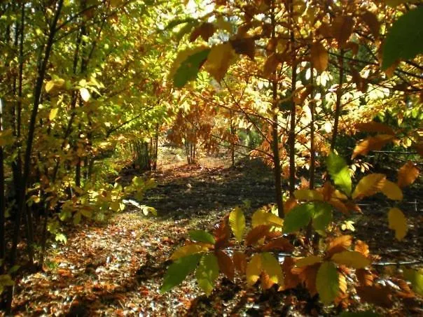 Puerto Roque Valencia de Alcántara