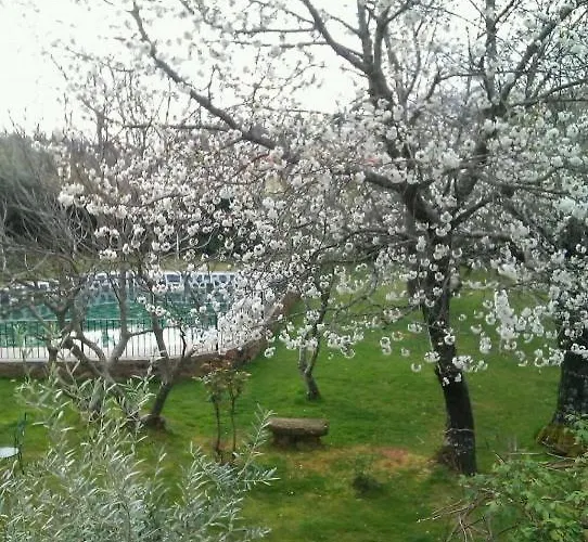 Puerto Roque Villa *